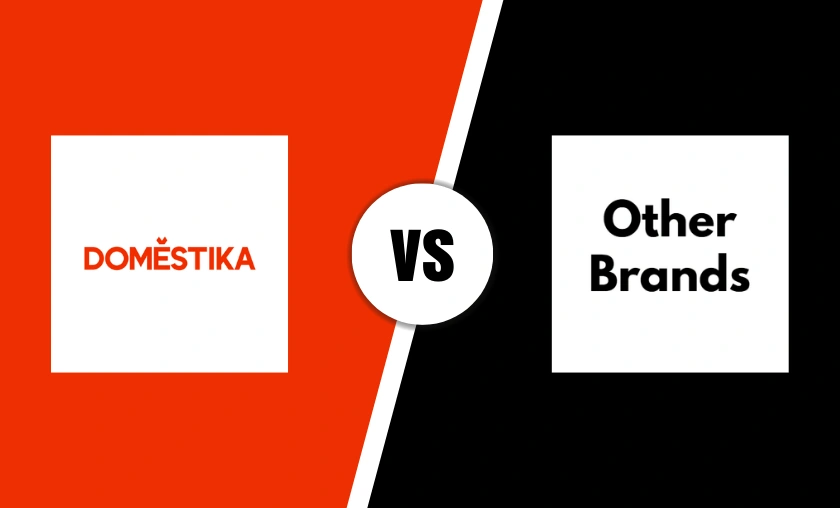 Domestika Review: Learn Best Online Skill Courses! ([wpsm_custom_meta type=date field=month] [wpsm_custom_meta type=date field=year]) - The Complete Portal