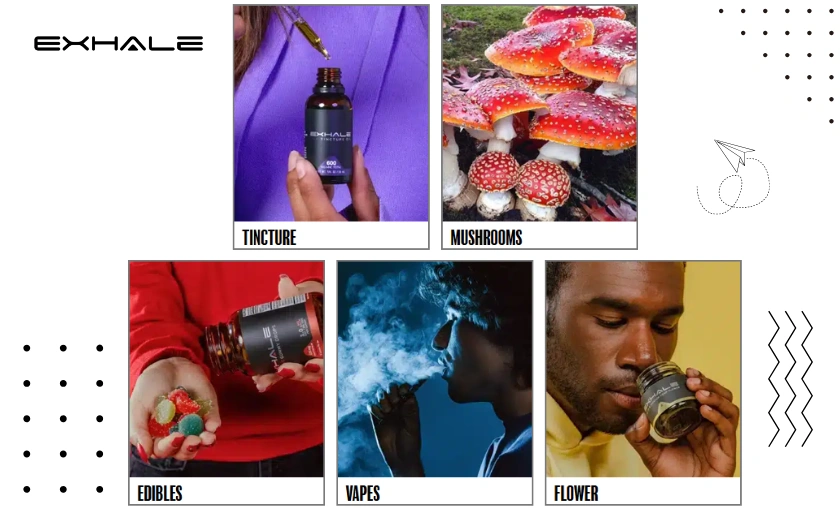 Exhale Wellness Review: Best Gummies & CBD Product! ([wpsm_custom_meta type=date field=month] [wpsm_custom_meta type=date field=year]) - The Complete Portal