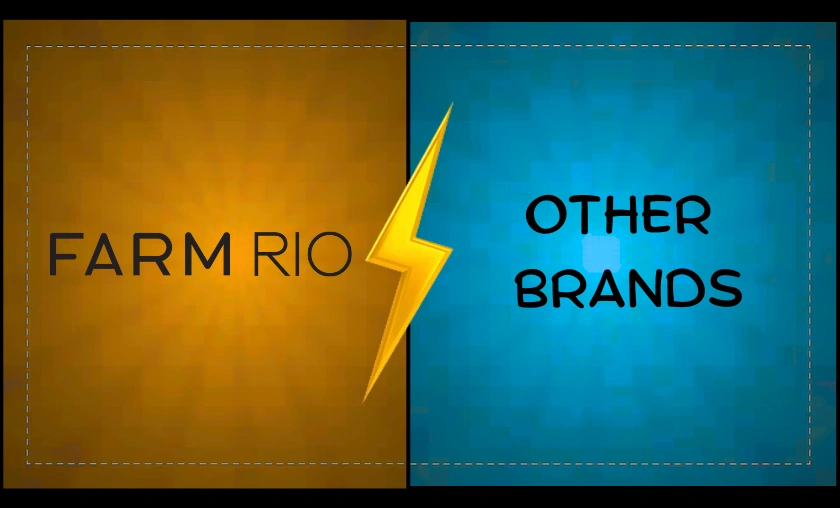 FarmRio UK vs Other Brands