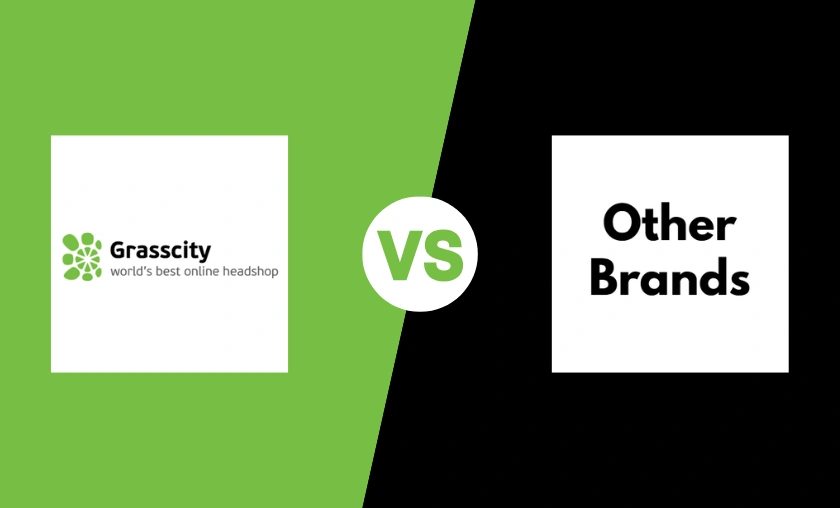 Grasscity US Review: Best Vaporizers & Glass Smoking! ([wpsm_custom_meta type=date field=month] [wpsm_custom_meta type=date field=year]) - The Complete Portal