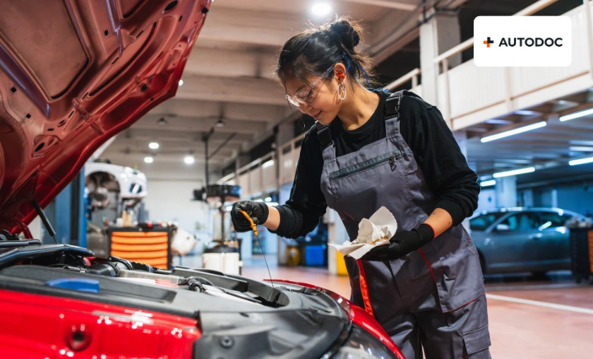 AUTODOC DK Review: Best Car Parts & Accessories! ([wpsm_custom_meta type=date field=month] [wpsm_custom_meta type=date field=year]) - The Complete Portal