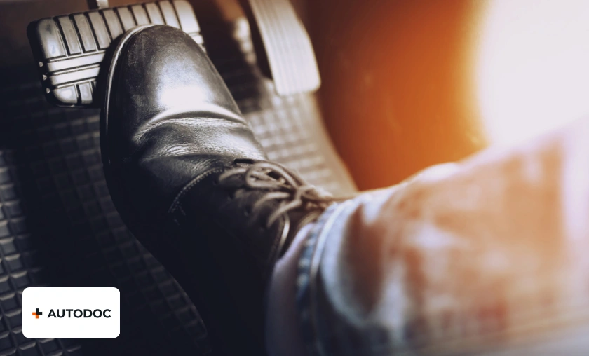 AUTODOC PL Review: Best Car Parts & Accessories! ([wpsm_custom_meta type=date field=month] [wpsm_custom_meta type=date field=year]) - The Complete Portal