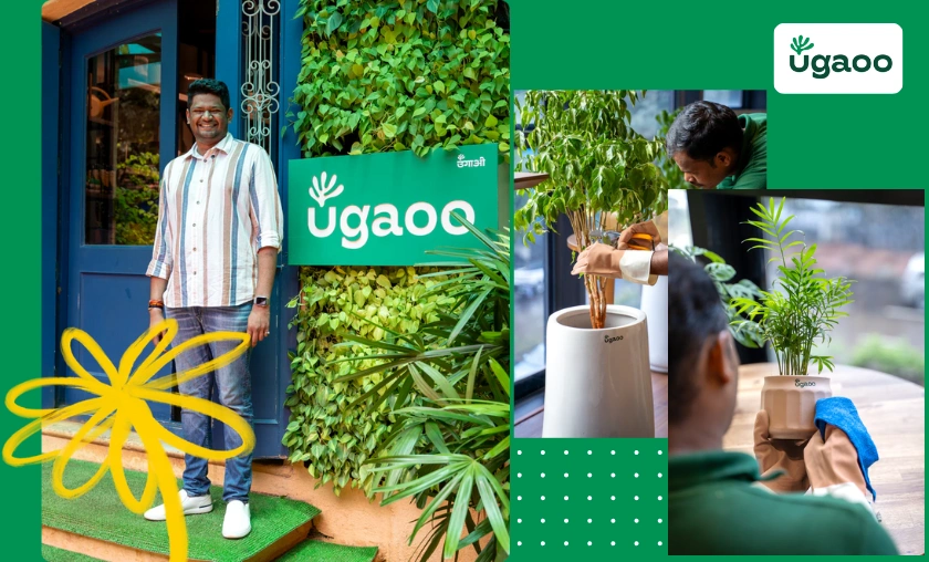 Ugaoo IN Review: Best Gardening Solutions for Home! ([wpsm_custom_meta type=date field=month] [wpsm_custom_meta type=date field=year]) - The Complete Portal