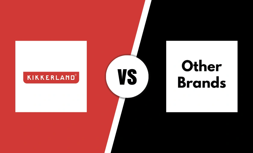 Kikkerland Review: The Best Creative Home Gadgets! ([wpsm_custom_meta type=date field=month] [wpsm_custom_meta type=date field=year]) - The Complete Portal