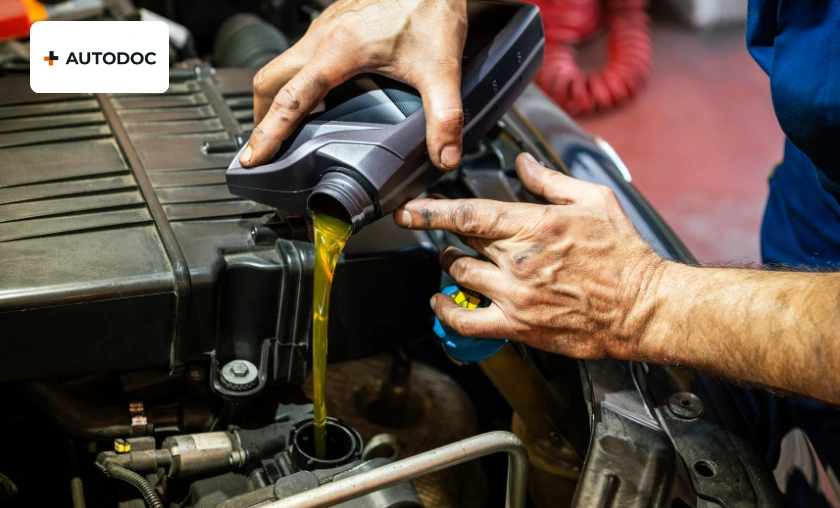 AUTODOC PL Review: Best Car Parts & Accessories! ([wpsm_custom_meta type=date field=month] [wpsm_custom_meta type=date field=year]) - The Complete Portal