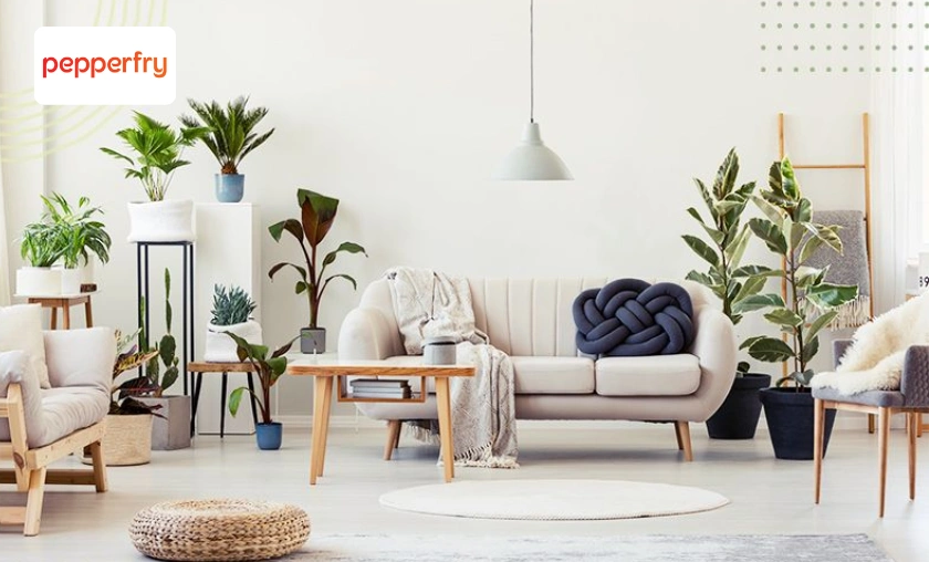 Pepperfry IN Review: Best Modern Indian Furniture! ([wpsm_custom_meta type=date field=month] [wpsm_custom_meta type=date field=year]) - The Complete Portal