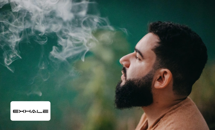 Exhale Wellness Review: Best Gummies & CBD Product! ([wpsm_custom_meta type=date field=month] [wpsm_custom_meta type=date field=year]) - The Complete Portal