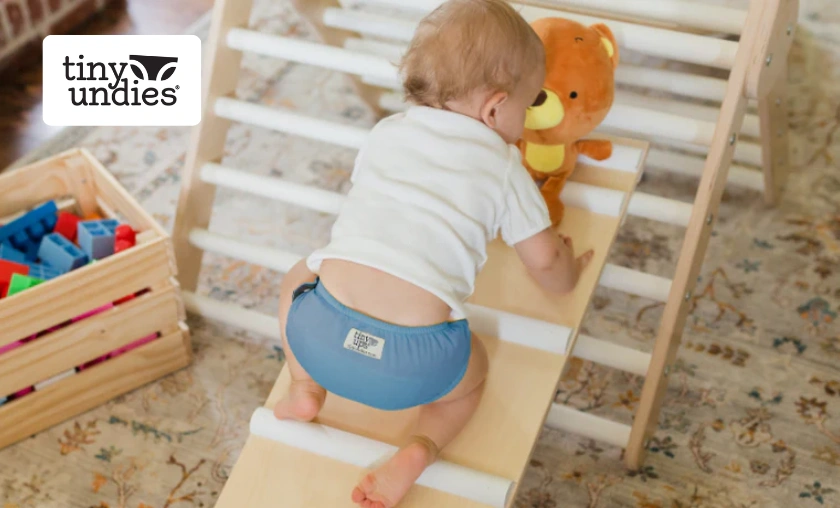 Tiny Undies Review: Best Underwear & Kids’ Pants! ([wpsm_custom_meta type=date field=month] [wpsm_custom_meta type=date field=year]) - The Complete Portal