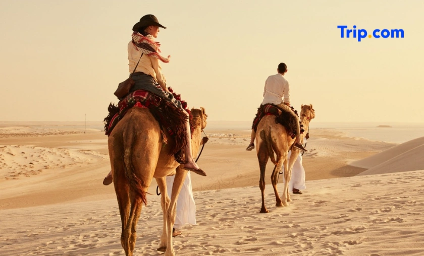 Reasons to Use Trip.com UK