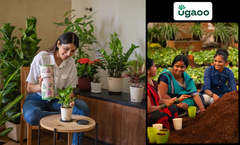 Ugaoo IN Review: Best Gardening Solutions for Home! ([wpsm_custom_meta type=date field=month] [wpsm_custom_meta type=date field=year]) - The Complete Portal