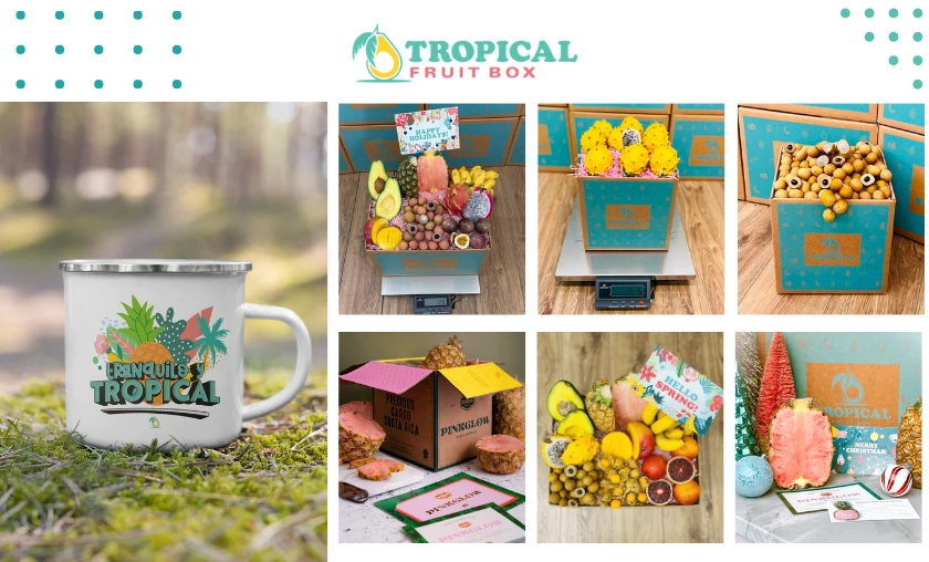 Tropical Fruit Box Review: Fresh Exotic Fruit Boxes! ([wpsm_custom_meta type=date field=month] [wpsm_custom_meta type=date field=year]) - The Complete Portal