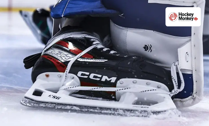 Hockey Monkey CA Review: Best Hockey Gear & Outfits! ([wpsm_custom_meta type=date field=month] [wpsm_custom_meta type=date field=year]) - The Complete Portal