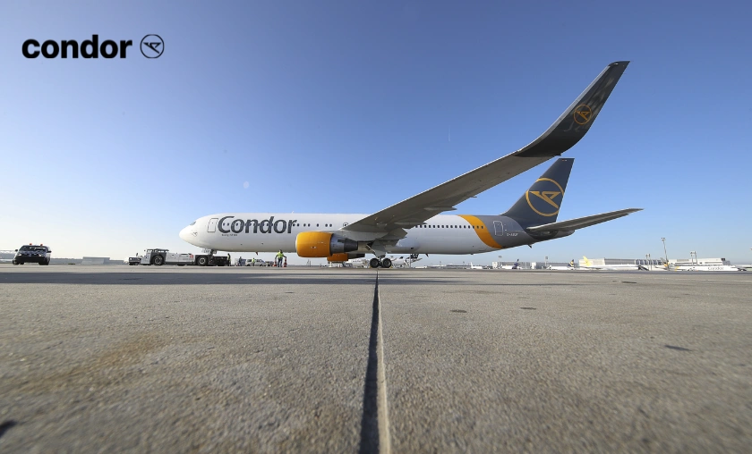 Condor DE Services & Offerings