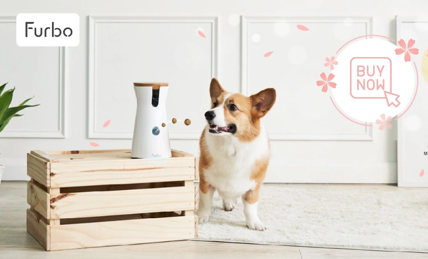 Furbo UK Review Advanced Technology for Pet Lovers and Home Safety