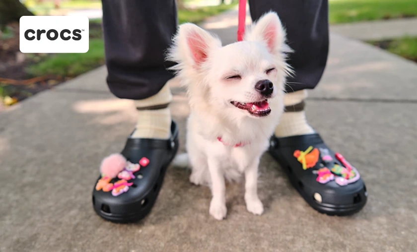 Crocs BR Review: The Best Clogs, Sandals & Jibbitz! ([wpsm_custom_meta type=date field=month] [wpsm_custom_meta type=date field=year]) - The Complete Portal