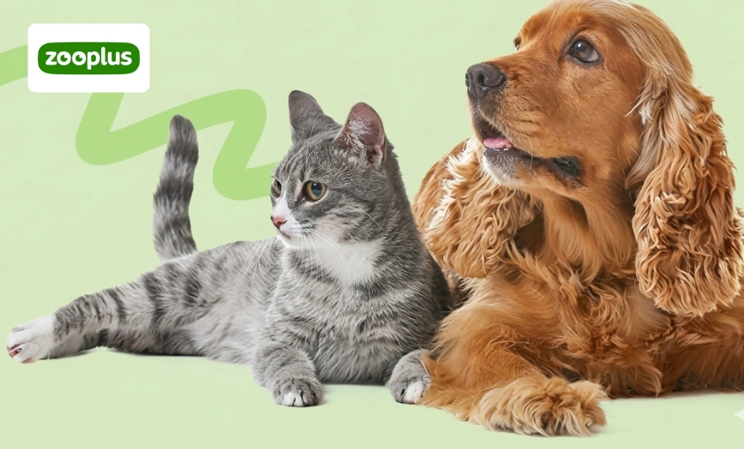 Zooplus IT Review: Best Pet Food, Toys & Accessories! ([wpsm_custom_meta type=date field=month] [wpsm_custom_meta type=date field=year]) - The Complete Portal