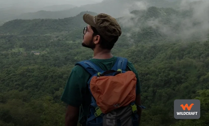 How the Wildcraft IN is Better or Works