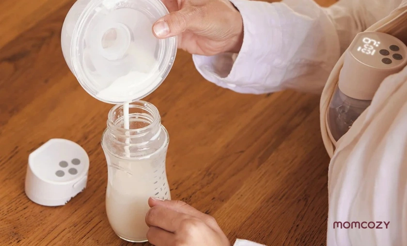 Reasons Parents Choose Momcozy FR for Daily Family Life