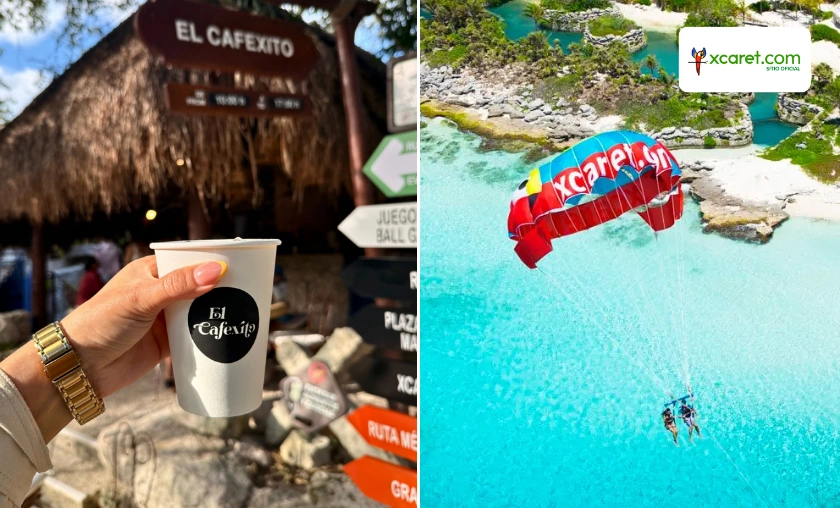 Xcaret Review: Best Activities & Cultural Experience! ([wpsm_custom_meta type=date field=month] [wpsm_custom_meta type=date field=year]) - The Complete Portal