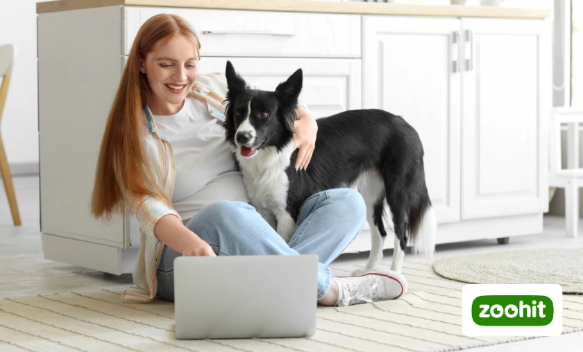 Zoohit CZ & SK Review: Best Pet Food & Essentials! ([wpsm_custom_meta type=date field=month] [wpsm_custom_meta type=date field=year]) - The Complete Portal