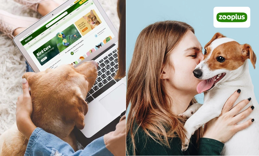 Zooplus IT Review: Best Pet Food, Toys & Accessories! ([wpsm_custom_meta type=date field=month] [wpsm_custom_meta type=date field=year]) - The Complete Portal