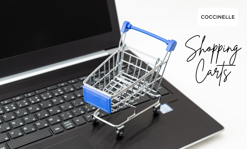 Coccinelle Review: The Best Timeless Italian Fashion! ([wpsm_custom_meta type=date field=month] [wpsm_custom_meta type=date field=year]) - The Complete Portal