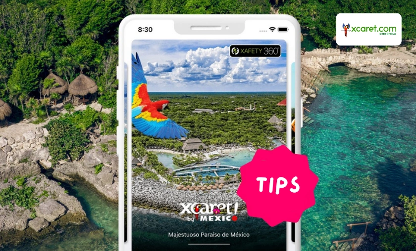 Xcaret Review: Best Activities & Cultural Experience! ([wpsm_custom_meta type=date field=month] [wpsm_custom_meta type=date field=year]) - The Complete Portal