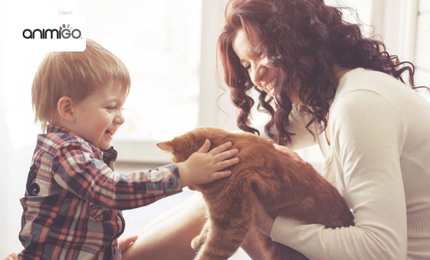 Animigo UK Review: Best Pet Nutrition & Care Product! ([wpsm_custom_meta type=date field=month] [wpsm_custom_meta type=date field=year]) - The Complete Portal