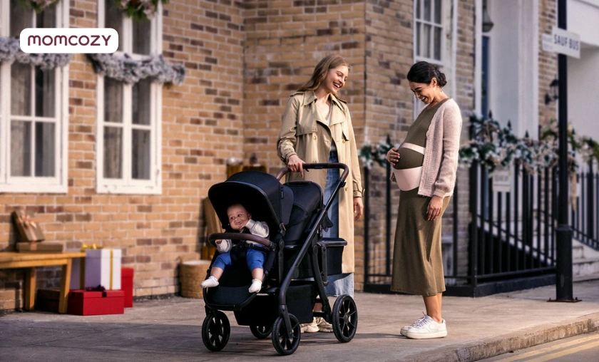 The Story of Momcozy DE