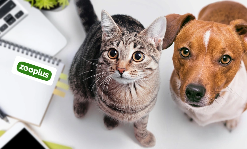 Zooplus IT Review: Best Pet Food, Toys & Accessories! ([wpsm_custom_meta type=date field=month] [wpsm_custom_meta type=date field=year]) - The Complete Portal