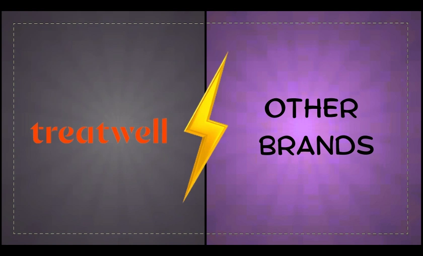 Treatwell FR vs Other Booking Platforms