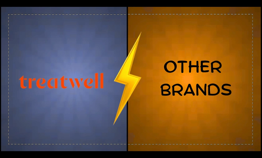 Treatwell IT vs Other Booking Platforms