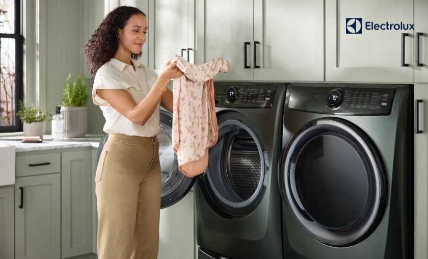 Why People Like Electrolux BR