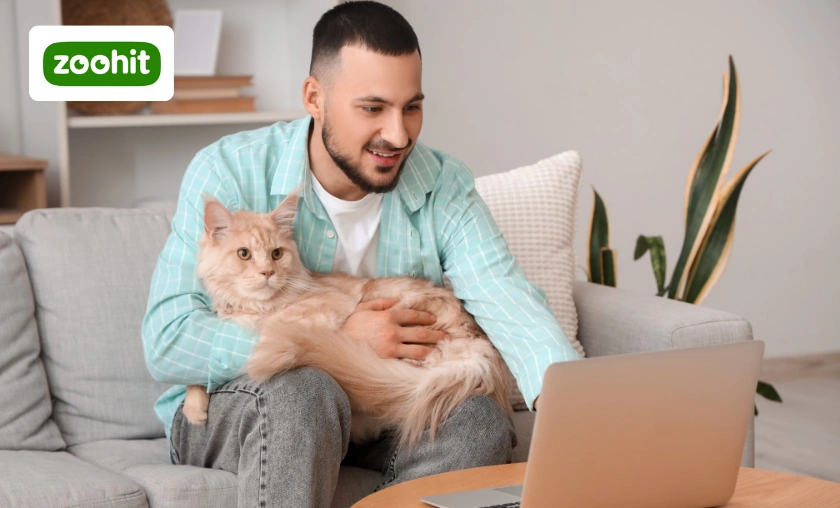 Zoohit CZ & SK Review: Best Pet Food & Essentials! ([wpsm_custom_meta type=date field=month] [wpsm_custom_meta type=date field=year]) - The Complete Portal