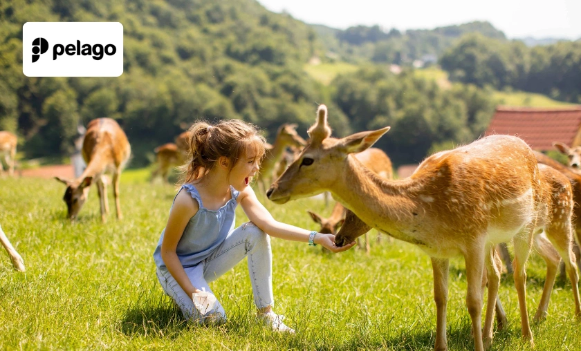 Pelago Review: Best Booking for Tours & Attractions! ([wpsm_custom_meta type=date field=month] [wpsm_custom_meta type=date field=year]) - The Complete Portal