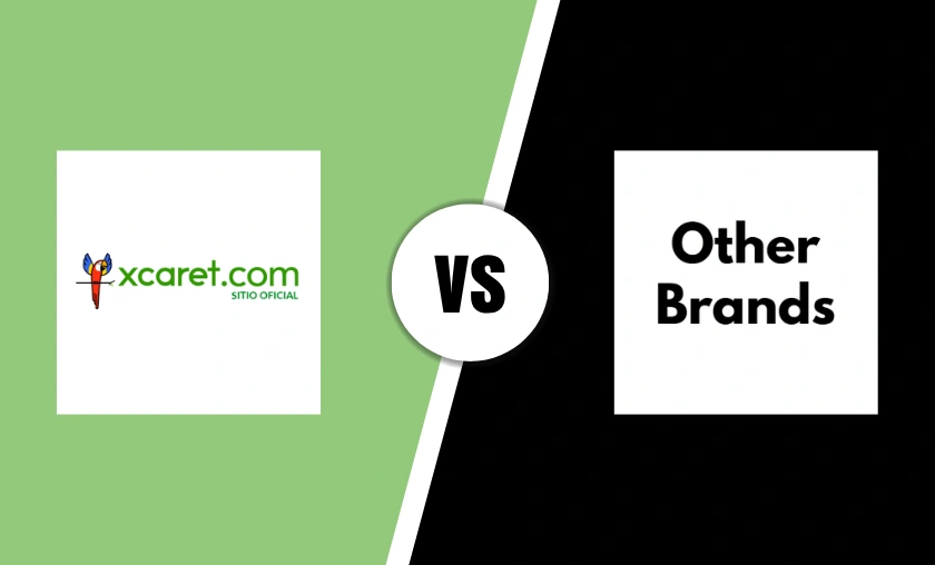 Xcaret Review: Best Activities & Cultural Experience! ([wpsm_custom_meta type=date field=month] [wpsm_custom_meta type=date field=year]) - The Complete Portal