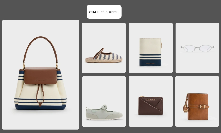 Charles & Keith Review: Best Clothing & Accessories! ([wpsm_custom_meta type=date field=month] [wpsm_custom_meta type=date field=year]) - The Complete Portal