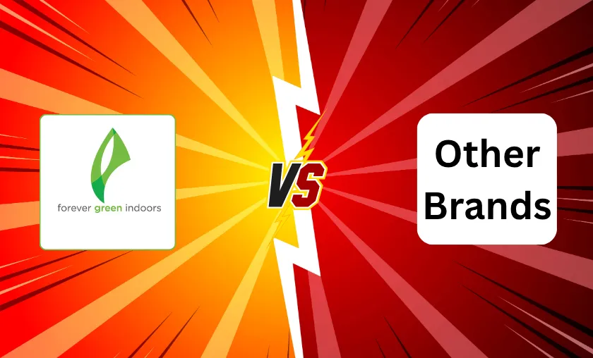 Forever Green Indoors Review: Best LED Grow Lights! ([wpsm_custom_meta type=date field=month] [wpsm_custom_meta type=date field=year]) - The Complete Portal