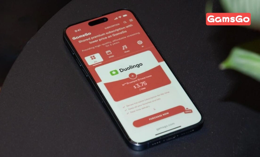 GamsGo (Shared Subscriptions, Streaming Services, AI Tools & Premium Accounts Collection)