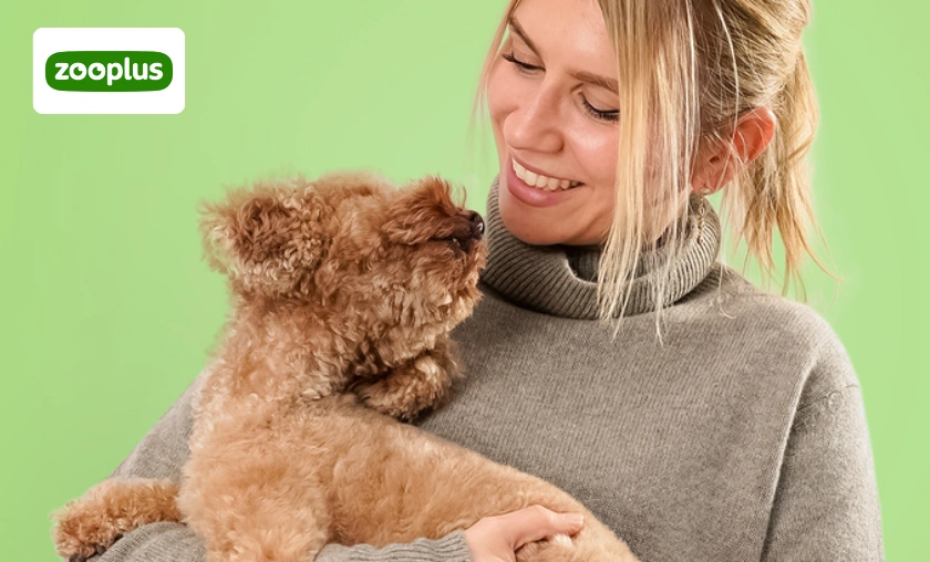 Zooplus Review: Best Pet Food, Toys & Accessories! ([wpsm_custom_meta type=date field=month] [wpsm_custom_meta type=date field=year]) - The Complete Portal