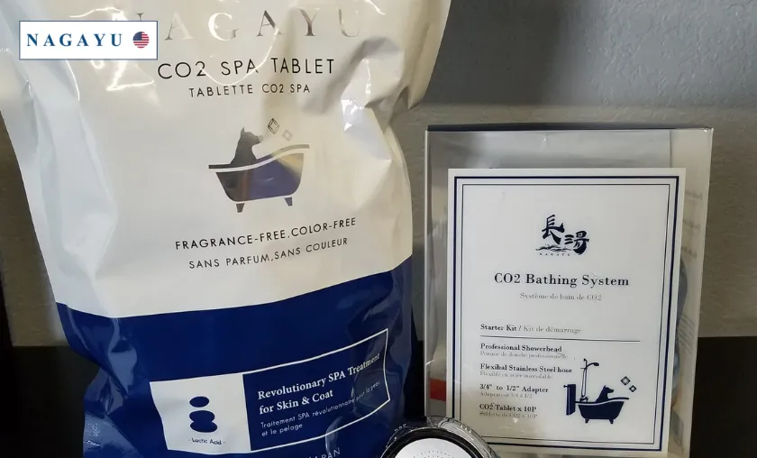 Nagayu US Review: Luxury Skincare & Beauty Products! ([wpsm_custom_meta type=date field=month] [wpsm_custom_meta type=date field=year]) - The Complete Portal