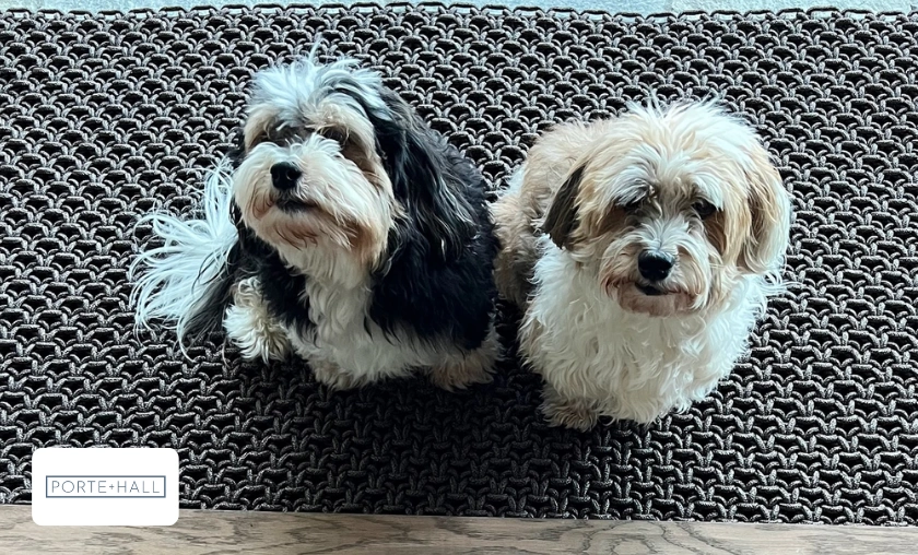 Porte + Hall US Review Quality and Style for Every Home