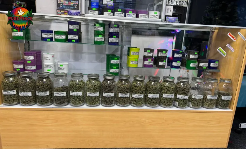 Pure Peace CBD Review: Best THCA & CBD Products! ([wpsm_custom_meta type=date field=month] [wpsm_custom_meta type=date field=year]) - The Complete Portal