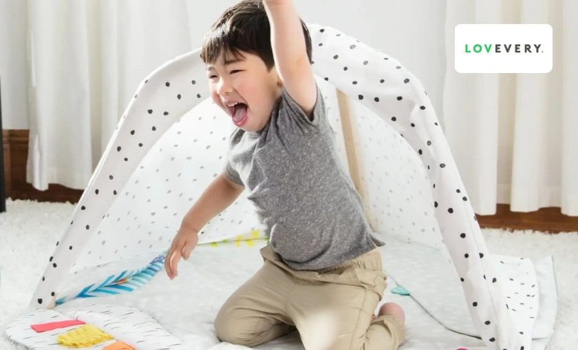 Lovevery US & CA Review: Best Learning Play Kits! ([wpsm_custom_meta type=date field=month] [wpsm_custom_meta type=date field=year]) - The Complete Portal