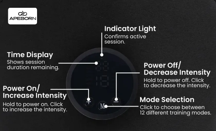 Ape Born Review: Best Supplements & Recovery Gear! ([wpsm_custom_meta type=date field=month] [wpsm_custom_meta type=date field=year]) - The Complete Portal