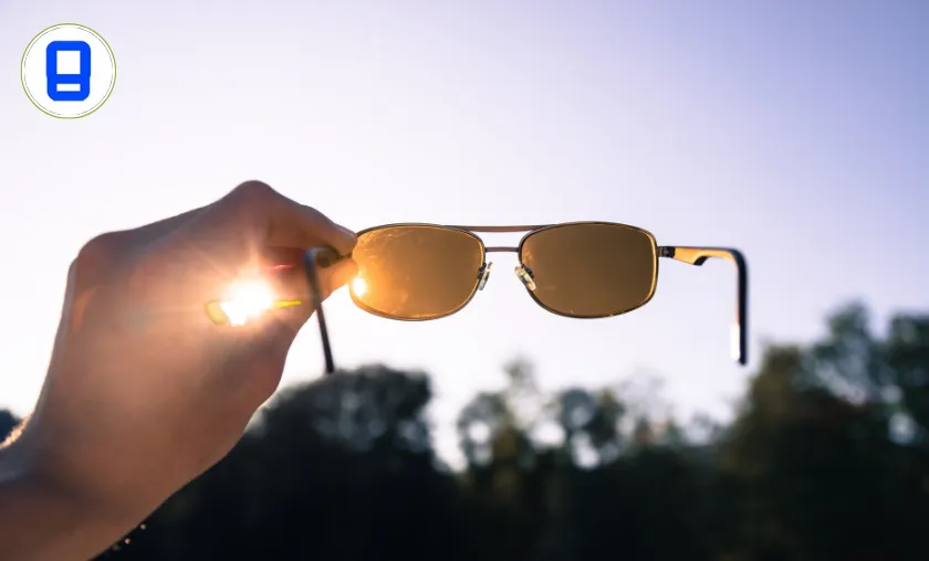 Priggla Review: The Best Sunglasses & Accessories! ([wpsm_custom_meta type=date field=month] [wpsm_custom_meta type=date field=year]) - The Complete Portal