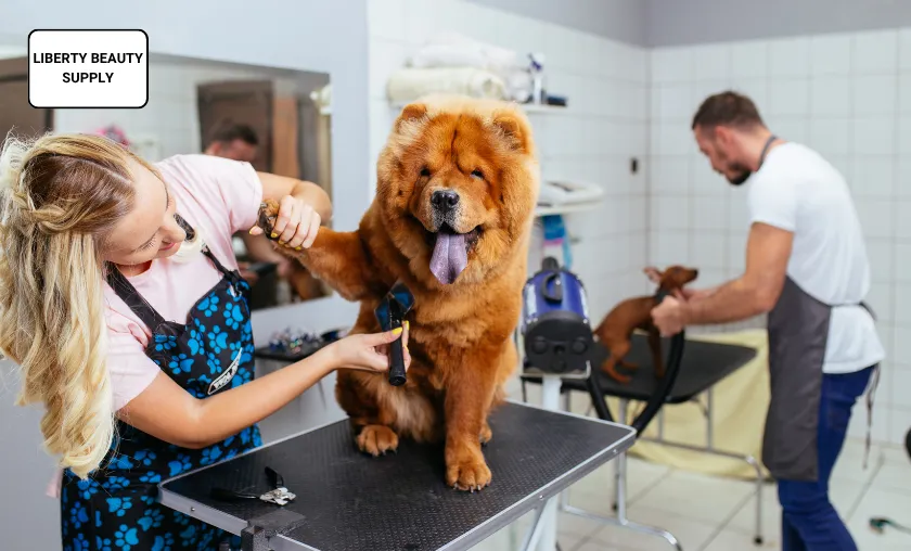 Liberty Beauty Supply Review: Best Cosmetology Kits! ([wpsm_custom_meta type=date field=month] [wpsm_custom_meta type=date field=year]) - The Complete Portal