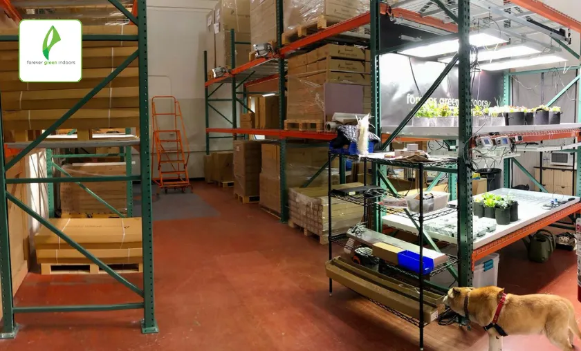 Forever Green Indoors Review: Best LED Grow Lights! ([wpsm_custom_meta type=date field=month] [wpsm_custom_meta type=date field=year]) - The Complete Portal