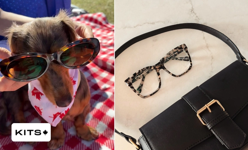 KITS CA Review: The Best Eyewear & Designer Glasses! ([wpsm_custom_meta type=date field=month] [wpsm_custom_meta type=date field=year]) - The Complete Portal