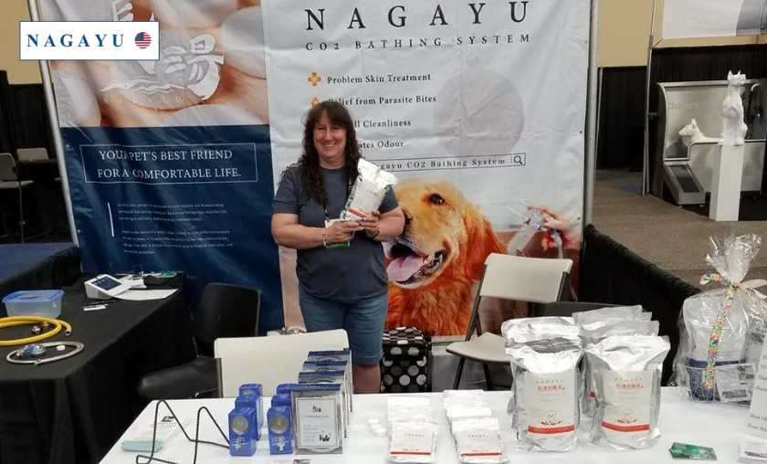 Nagayu US Review: Luxury Skincare & Beauty Products! ([wpsm_custom_meta type=date field=month] [wpsm_custom_meta type=date field=year]) - The Complete Portal